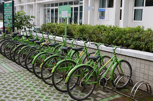 綠色腳踏車刻意不上鎖，開放自由騎乘，希望培養學生誠實、可靠的公民素養，進而實踐中大「誠樸」校訓。石孟佳攝