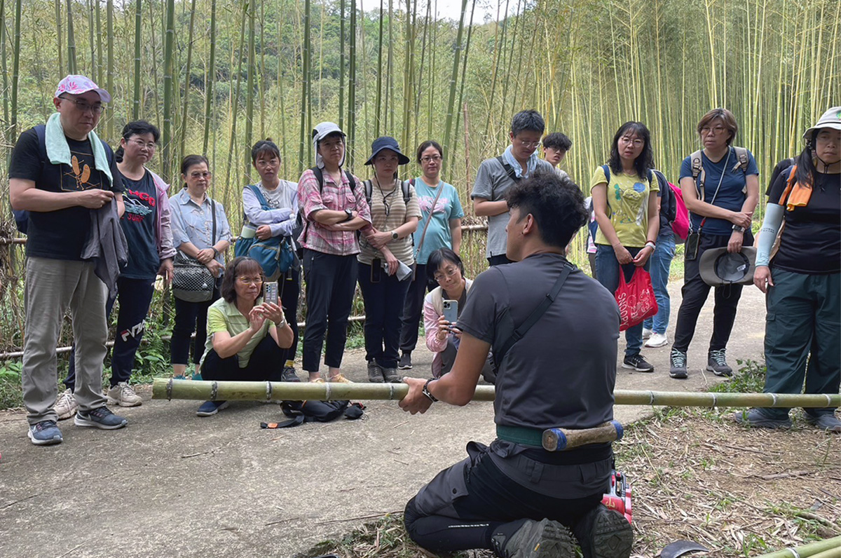 在「竹鐮幫」成員林志仁的解說下，了解散生竹與叢生竹的特性，以及竹林在環境中的重要性。胡硯芬攝